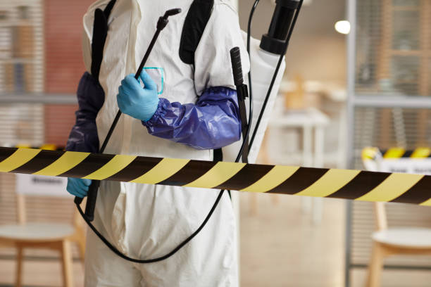Professional Biohazard technician working in Nursery, TX